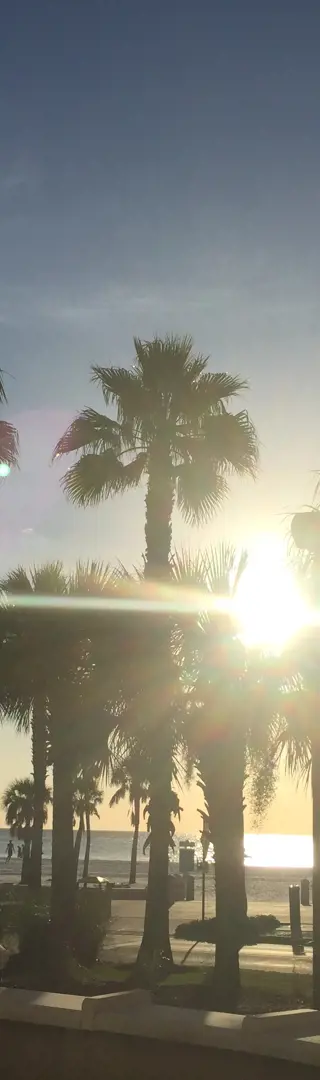 Die letzten Sonnenstrahlen von Florida